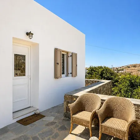 Oxalis Mykonos