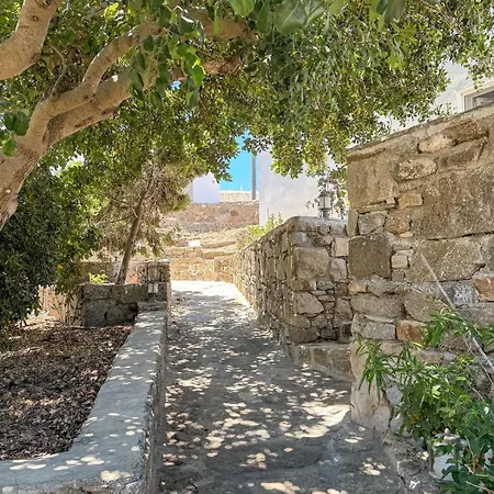 Daire Oxalis Mykonos *