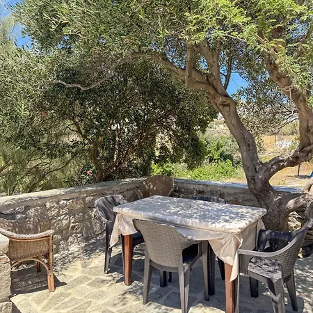 Daire Oxalis Mykonos